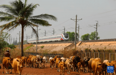 <b>【2025年物流新机缘·上篇】云南省工做演讲明白</b>