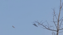 国务院关税税则委员会关于对原产于美国的 部门